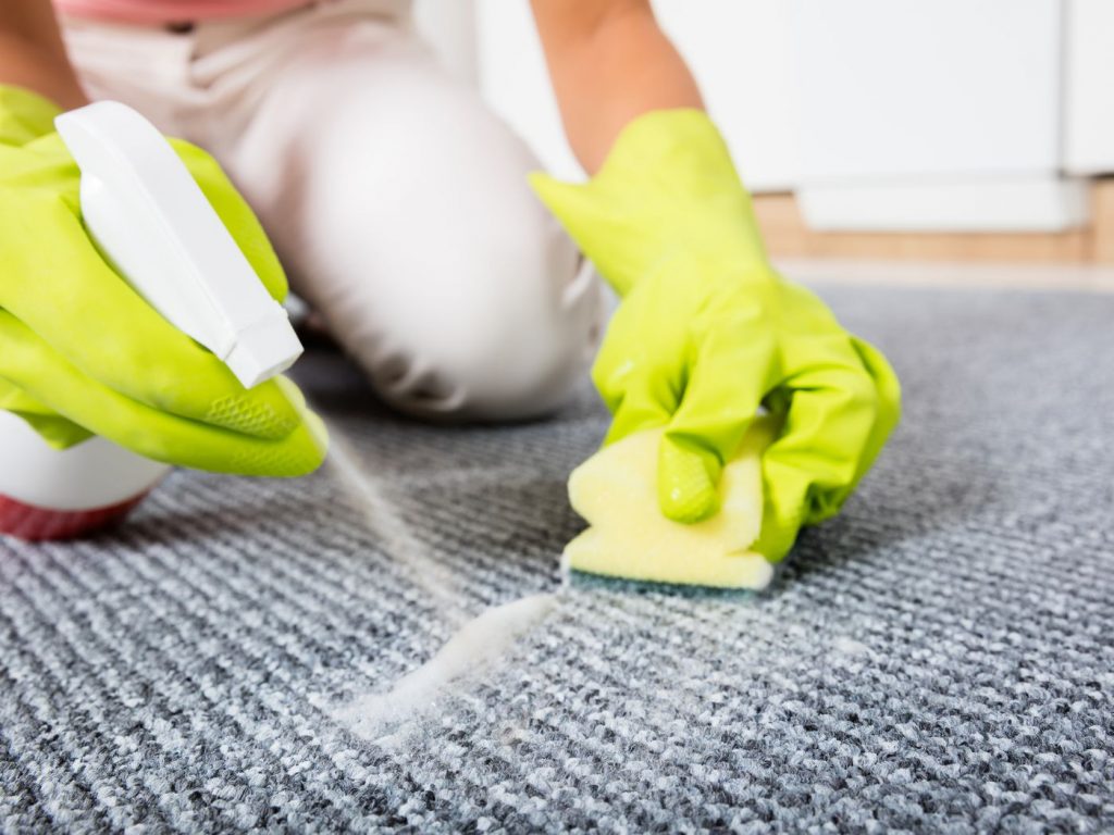 Remove & Treat Carpet Stains